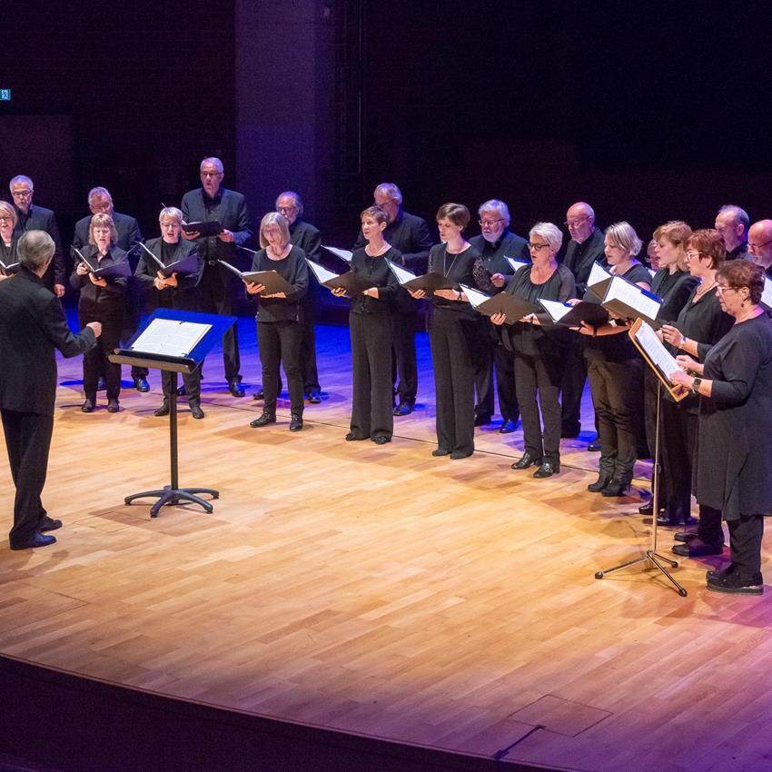 amis_du_chant - Les Amis du chant  Luxembourg & le "JAC-Trio"